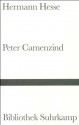 Peter Camenzind - Hermann Hesse