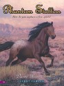 Dawn Runner (Phantom Stallion, #21) - Terri Farley