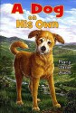 A Dog on His Own - Mary Jane Auch