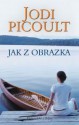 Jak z obrazka - Alina Siewior-Kuś, Jodi Picoult