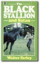 The Black Stallion and Satan - Walter Farley