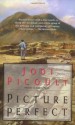 Picture Perfect (Audio) - Jodi Picoult
