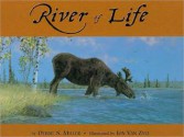 River of Life - Debbie S. Miller