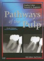 Pathways of the Pulp - Kenneth M. Hargreaves, Karl Keiser