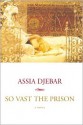 So Vast the Prison - Assia Djebar, Betsy Wing