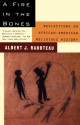 A Fire in the Bones - Albert J. Raboteau