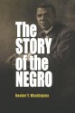 The Story of the Negro: The Rise of the Race from Slavery: Volumes I and II - Booker T. Washington