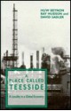 A Place Called Teesside: A Locality In A Global Economy - Huw Beynon, Raymond Hudson, David Sadler