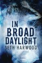 In Broad Daylight - Seth Harwood