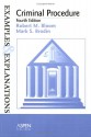 Criminal Procedure: Examples and Explanations - Robert M. Bloom, Mark S. Brodin