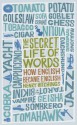 The Secret Life Of Words: How English Became English - Henry Hitchings