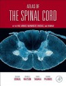 Atlas of the Spinal Cord of the Rat, Mouse, Marmoset, Rhesus, and Human - Gülgün Şengül, Charles Watson, Ikuko Tanaka, George Paxinos