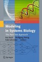 Modeling In Systems Biology: The Petri Net Approach (Computational Biology) - Ina Koch, Wolfgang Reisig, Falk Schreiber