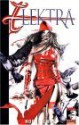 Elektra, Vol. 3: Relentless - Robert Rodi, Sean Chen