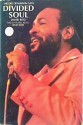 Divided Soul: The Life Of Marvin Gaye - David Ritz