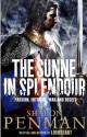 The Sunne in Splendour - Sharon Kay Penman