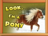 Children Book : Look, I'm a Pony (Great Pictures Book for Kids) (Age 4 - 9) - Dan Jackson, Animals Books, Books about Ponies, Children Books, Kids Books