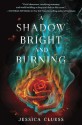 A Shadow Bright and Burning - Jessica Cluess