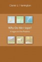 Why Do We Hope?: Images in the Psalms - Daniel J. Harrington S.J.