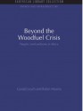 Beyond the Woodfuel Crisis: People, land and trees in Africa (Energy and Infrastructure Set) - Gerald Leach, Robin Mearns