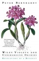 Wily Violets and Underground Orchids: Revelations of a Botanist - Peter Bernhardt