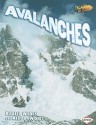 Avalanches - Michael Woods, Mary Woods