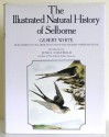 The Illustrated Natural History of Selborne - Gilbert White, June E. Chatfield