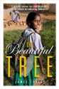 The Beautiful Tree: A Personal Journey Into How the World's Poorest People Are Educating Themselves - James Tooley