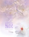 Hopeless Magic - Rachel Higginson