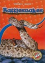 Rattlesnakes - Colleen Sexton