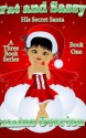 His Secret Santa (Fat & Sassy) - Elaine Overton