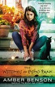 The Witches of Echo Park - Amber Benson