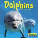 Dolphins - Connie Colwell Miller