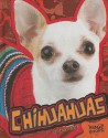 Chihuahuas - Tammy Gagne