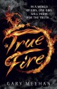 True Fire - Gary Meehan