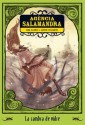 La cambra de vidre (Agència Salamandra, #3) - Ana Alonso, Javier Pelegrín