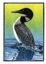 Boreal Birds [With 8 Envelopes] - Rick Allen