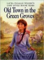 Old Town in the Green Groves: Laura Ingalls Wilder's Lost Little House Years - Cynthia Rylant, Jim LaMarche