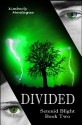 Divided - Kimberly Montague