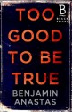 Too Good to be True - Benjamin Anastas