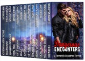 Dangerous Encounters: 13 Romantic Suspense Novels - Nikki Lynn Barrett, Denise Moncrief, Jade Kerrion, Nancy and Nolan Radke, Stacy Eaton, Sharon Coady, Amy Manemann, Cathy Perkins, Chantel Rhondeau, Jacquie Biggar, Sylvie Grayson, Rachelle Ayala, Mimi Barbour