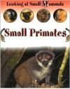 Small Primates (Morgan, Sally. Looking At Small Mammals.) - Sally Morgan