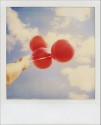 Polaroid Journal - Jenifer Altman