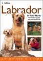 Labrador (Collins Dog Owner's Guide) - Peter Neville