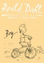 Boy: Tales Of Childhood: Autobiography - Quentin Blake, Roald Dahl