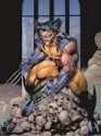 Essential Wolverine - Larry Hama, Dwayne Turner, Adam Kubert