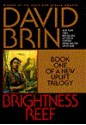 Brightness Reef - David Brin