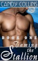 Taming the Stallion: Straight Cowboy's First Time, Gay MM Alpha Male Bisexual Romance (Stetson Series Book 1) - Candy Collins, Polly Goldenberg