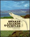 Snakes Lizards and Turtles of Lake Mead Region - Russel K. Grater, Erik Jensen