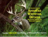 Advanced Whitetail Details - Deer And Deer Hunting Magazine